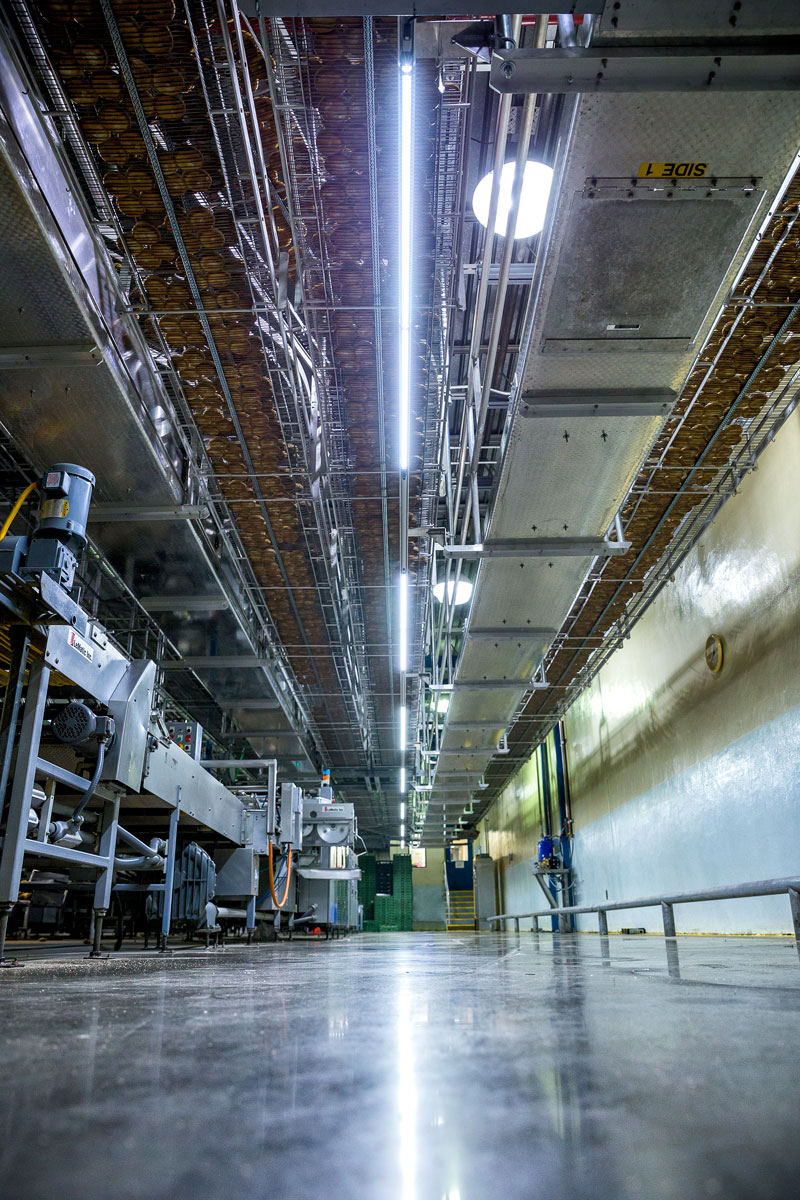 Food Processing G&G LED